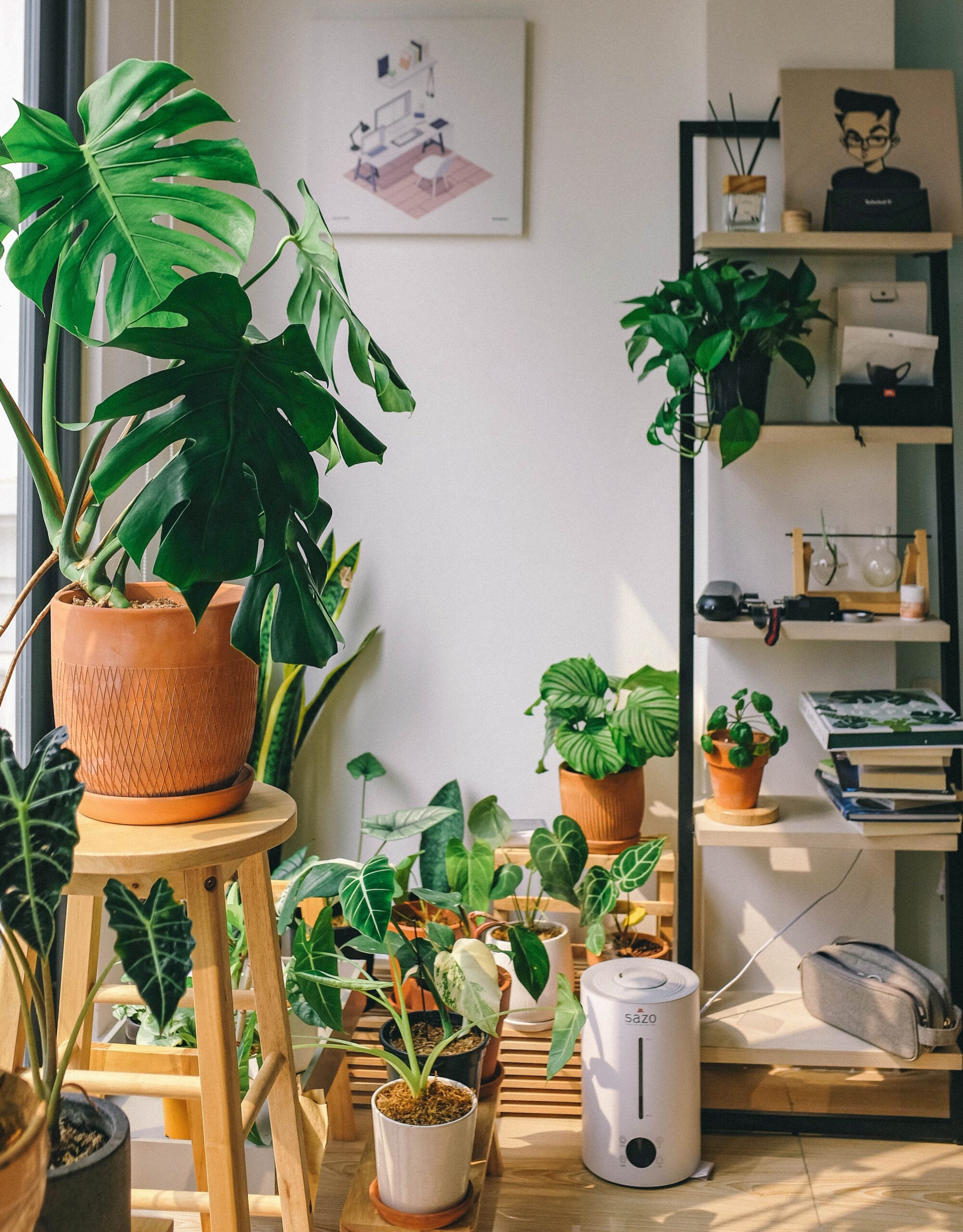 Read more about the article Are Houseplants Actually Sustainable?