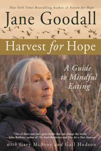 Read more about the article Harvest for Hope A Guide to Mindful Eating