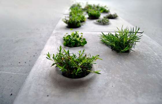 Read more about the article Tiles for growing mini gardens